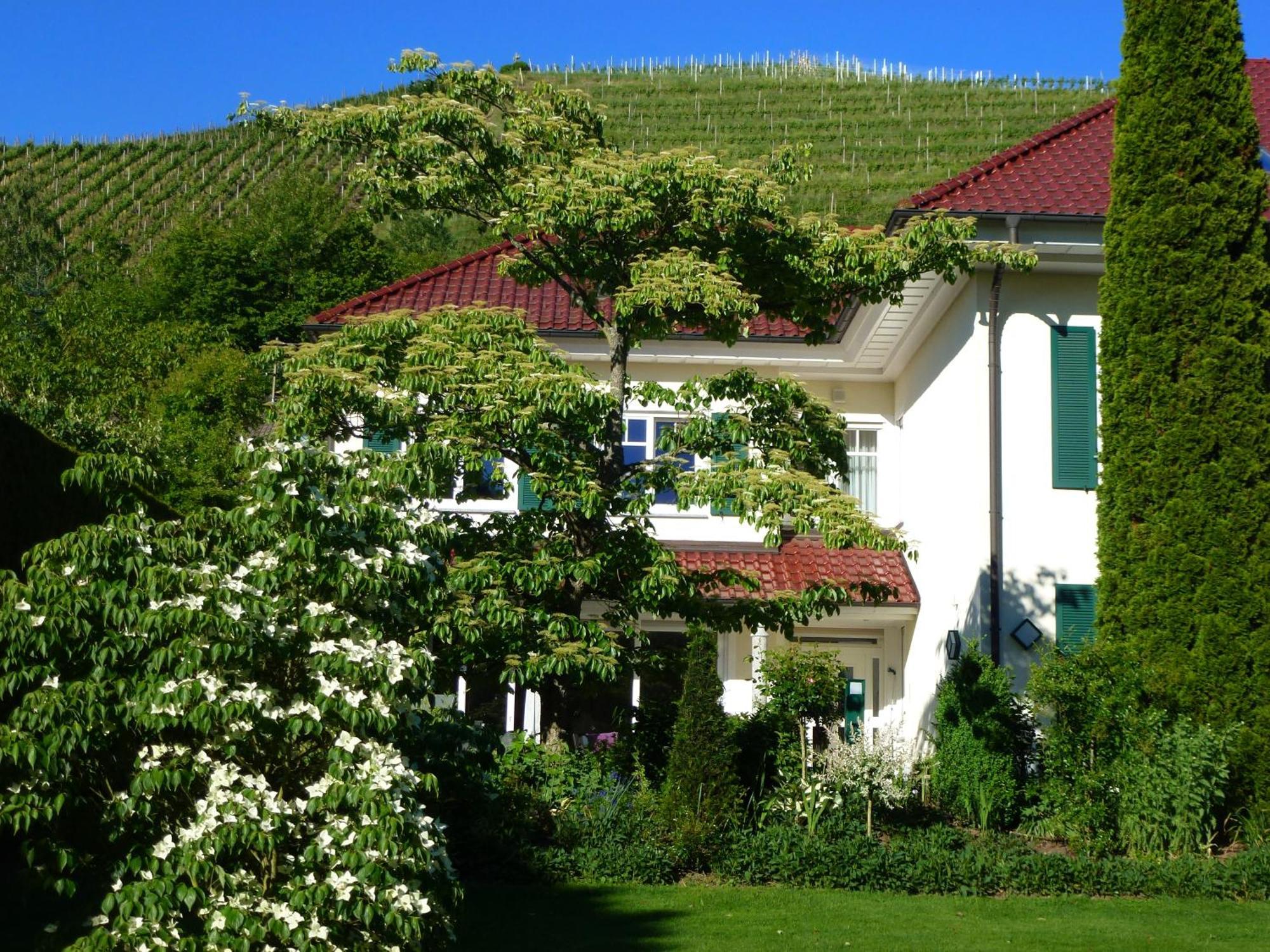 Baumanns Landhaus Durbach Rom bilde
